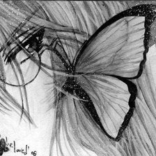 Схема вышивки «Бабочка и он»