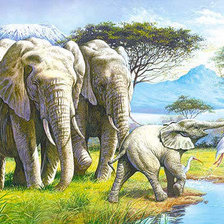 Схема вышивки «Слоны»