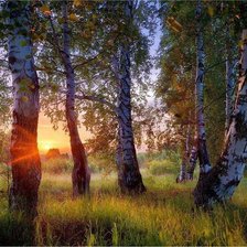 Схема вышивки «№181796»