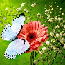 Схема вышивки «Бабочка на цветке»