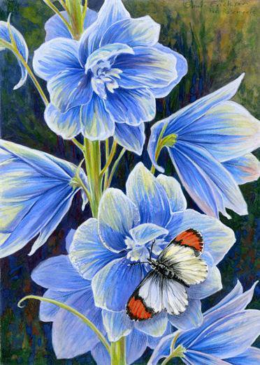 Бабочка и цветы - цветы, картина, бабочка - оригинал