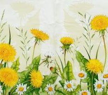 Схема вышивки «одуванчики»