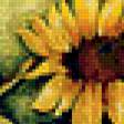 Предпросмотр схемы вышивки «подсолнухи» (№181983)