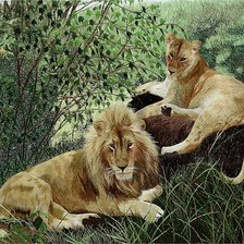 Схема вышивки «львы»