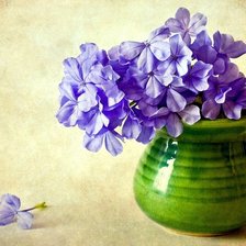 Схема вышивки «№182204»