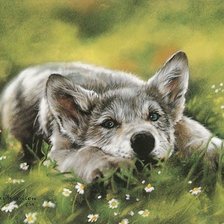 Схема вышивки «№182303»