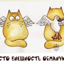Схема вышивки «кот»
