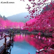 Схема вышивки «сад»