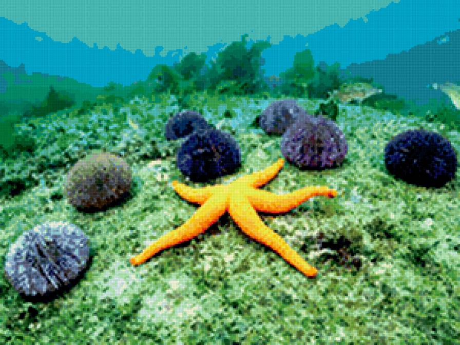 подводный мир - предпросмотр