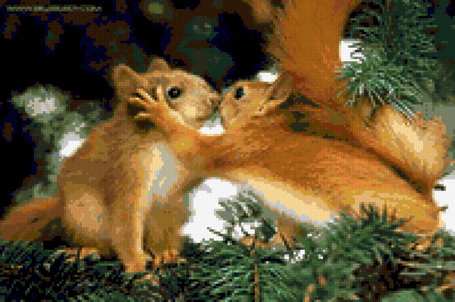 белочки - вышивка - предпросмотр