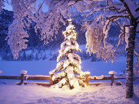 Схема вышивки «№182465»