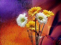 Схема вышивки «№182475»