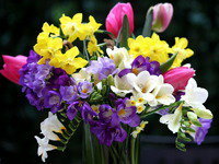 Схема вышивки «№182486»