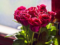 Схема вышивки «№182493»