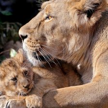 Схема вышивки «Мамина любовь»