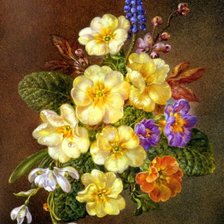 Схема вышивки «№182568»