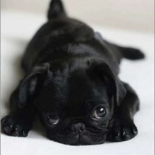 Схема вышивки «45669»