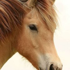 Схема вышивки «6546»