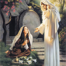 Схема вышивки «№182642»