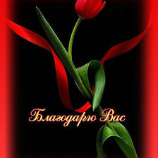 Схема вышивки «№182830»