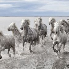 Схема вышивки «№182980»