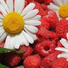 Схема вышивки «№182993»