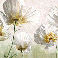 Схема вышивки «№183100»