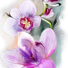 Схема вышивки «цветы»