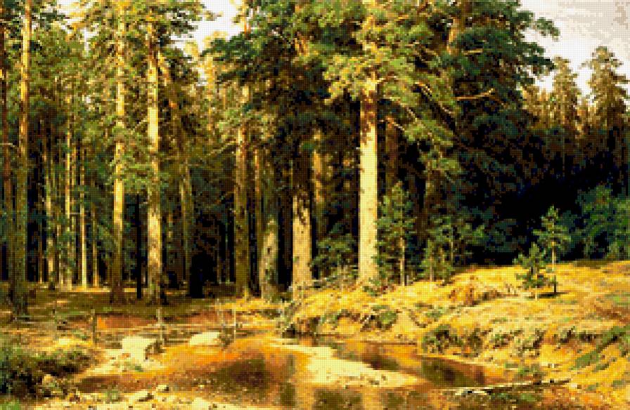 Корабельная роща - лес, пейзаж - предпросмотр