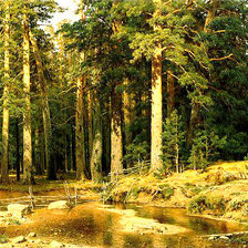 Корабельная роща