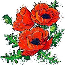 Схема вышивки «Мак»