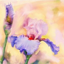 Схема вышивки «№183301»