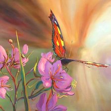 Бабочка и цветок