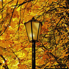 Схема вышивки «№183318»