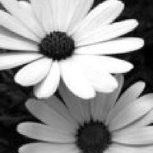 Схема вышивки «№183377»