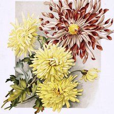 Схема вышивки «букет»