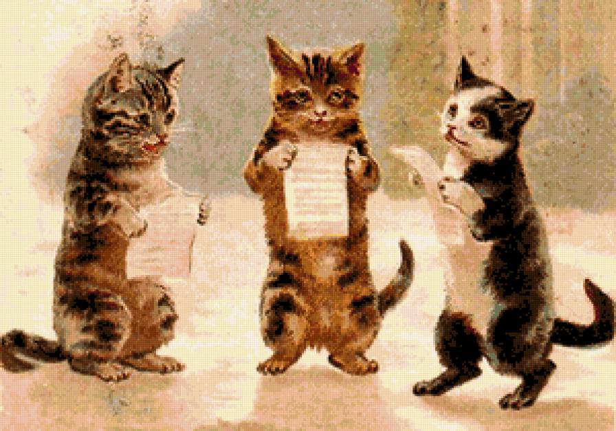 Котики - коты - предпросмотр