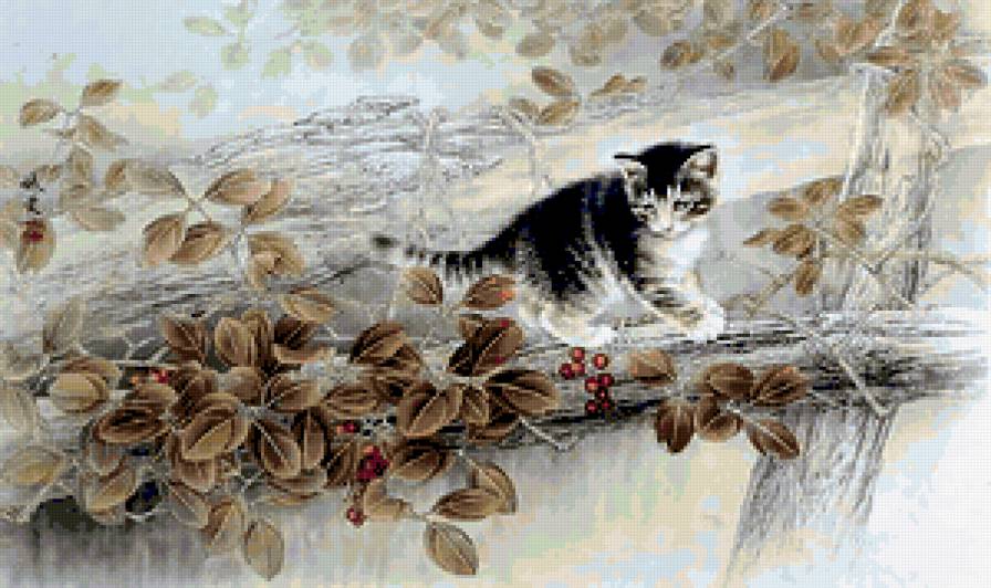 Котик - коты - предпросмотр