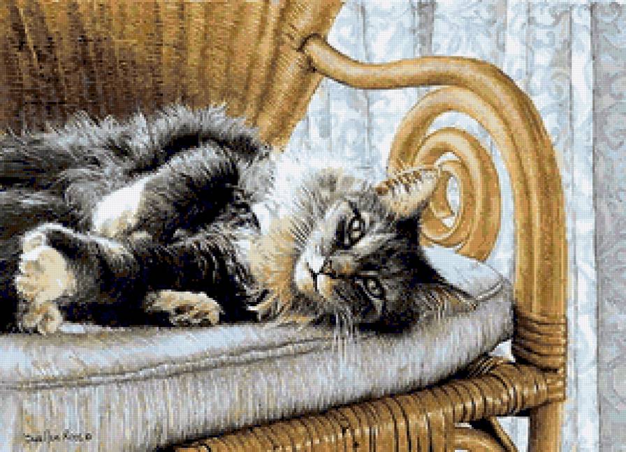 Котик - коты - предпросмотр