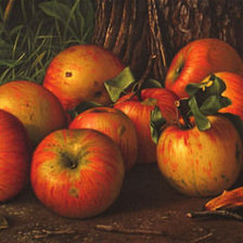 Схема вышивки «№183644»