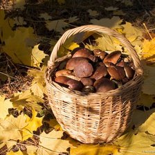 Схема вышивки «корзина с грибами»