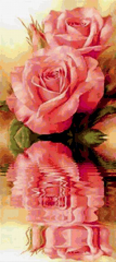 розы - предпросмотр