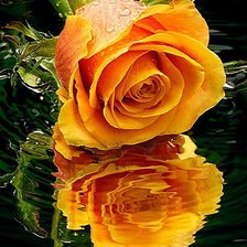 Схема вышивки «розы»