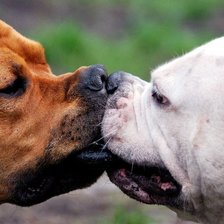 Схема вышивки «Любовь»