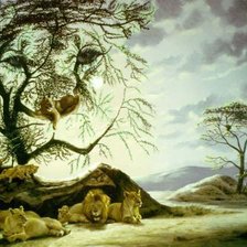 Схема вышивки «Львы прерии»