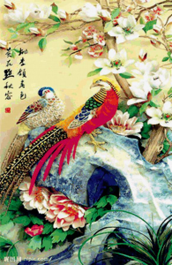 Яркие птицы - фазаны, китай, прицы - предпросмотр