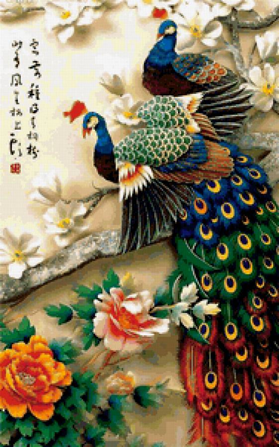 Павлины в цветах - цветы, пионы, птицы, восток, павлины, китай - предпросмотр