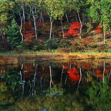 лесное озеро