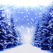 Схема вышивки «зимняя ночь»