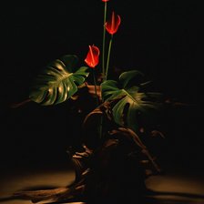 Схема вышивки «цветы»